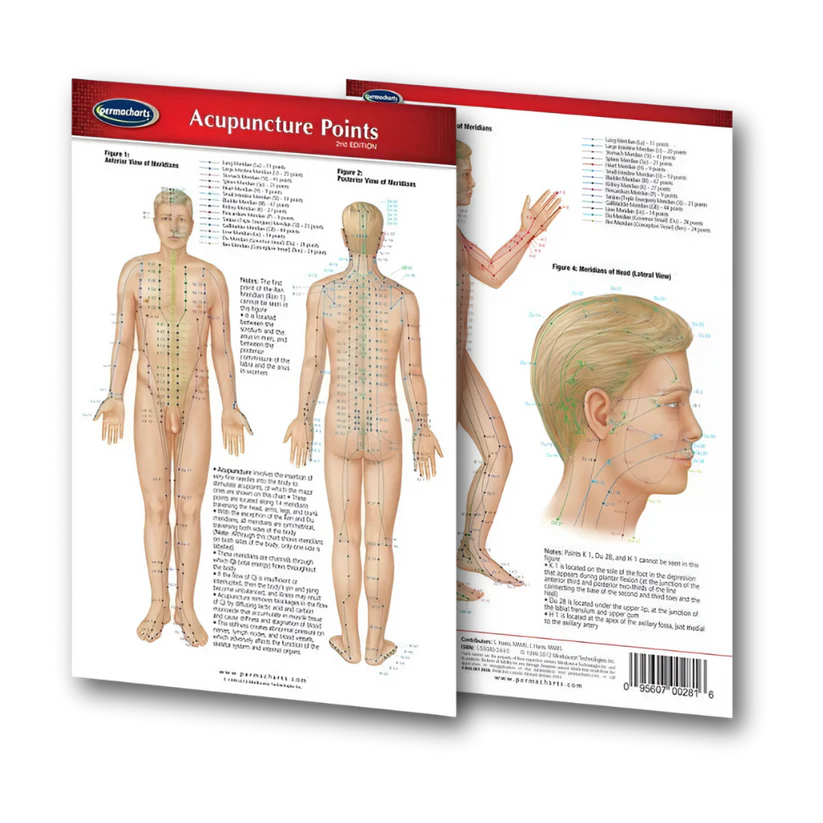Body Point Map (Digital Edition) - REVOX