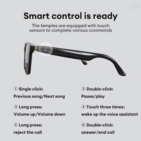 NovaLens™ AI powered translation glasses.