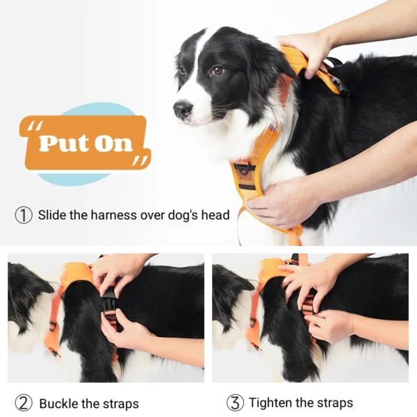 Dog Collar Harness