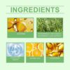 Revox™ Rosemary Shampoo – Reduce Breakage & Boost Volume