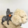 Halloween Headless Horseman