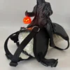 Halloween Headless Horseman