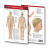 Kaching-Bundles-Use_it_anywhere_on_your_body_1080_x_1080_px_11_3745652f-b072-49fd-9ff2-7f17cfb96c0d_200x200